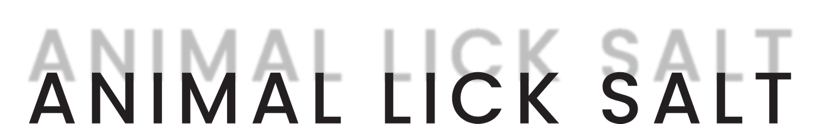 animal lick salt (1)